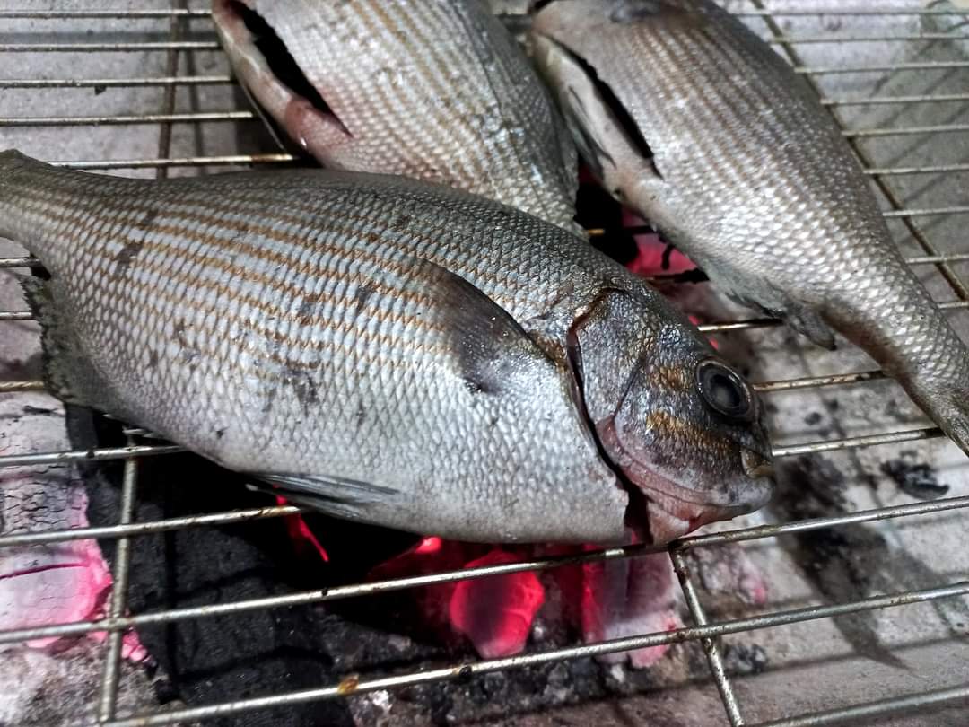 Cá Tà Ma Nướng