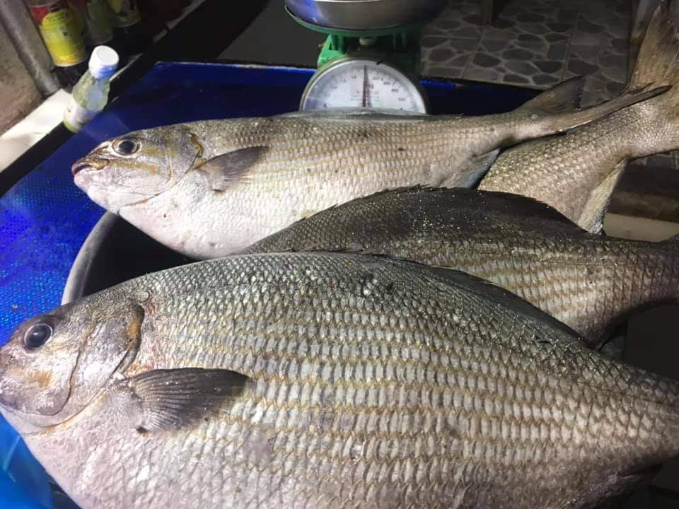 Cá Tà Ma Nấu Chua